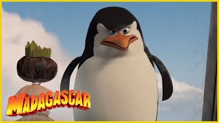 DreamWorks Madagascar en Español Latino  Los Pinguinos de Madagascar Escenas Graciosas [upl. by Abbott]