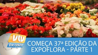 Começa a 37ª edição da Expoflora em Holambra  Parte 1 [upl. by Asiil]