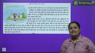 BRAIN ROOT HINDI VYAKRAN CLASS 5 CHAPTER 19 ANUCHED LEKHAN [upl. by Jennica]