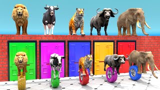 Cow Mammoth Elephant Tiger Buffalo Guess The Right Door ESCAPE ROOM CHALLENGE Animals Tire Game [upl. by Kerman]