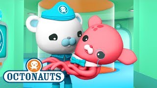 Octonauts  Close Encounters  Ocean Adventures  Cartoons for Kids  Underwater Sea Education [upl. by Tybie]