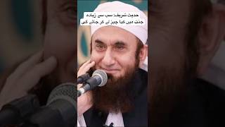 Sab Say Ziada Kya Cheez Jannat Main Lay Kar Jae Gi  Molana Tariq Jamil [upl. by Lilla]