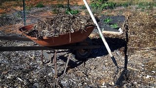 Most Efficient Way to Move Woodchips [upl. by Eendyc]