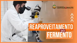 Reaproveitamento do fermento na produção de cerveja [upl. by Hakilam]