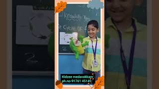 Knowledge time  Lifecycle of 🐸 by Jrkg  Kidzee Medavakkam 🤙 9176145149 [upl. by Llenral355]