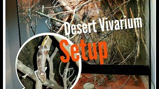 Desert vivarium setup  SPINYTAILED GECKO [upl. by Lali]