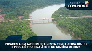 Piracema em MT começa nesta terçafeira 0110 e pesca é proibida até 31 de janeiro de 2025 [upl. by Harbert]