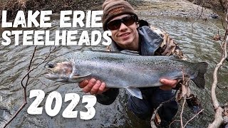 Lake Erie STEELHEAD Fishing 2023 SMALL Tributaries [upl. by Cathy]