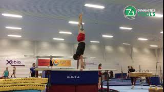 Diamidov Drills amp Excersises  Parallel Bars  Gymnastics [upl. by Ajax]