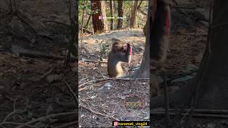 प्रिया पळाली नासंक्या सोबत🤣😂😀😅 shots viral comedy karamativlog funnyanimals funny [upl. by Myk]