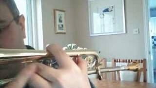 How to hold a rotary valve piccolo trumpet [upl. by Deragon417]