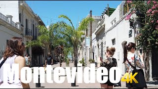 Montevideo Uruguay walking tour 4k 60fps [upl. by Rambert164]