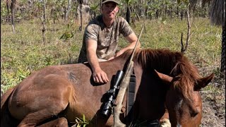 Hunting Horses On Public Land  Pest Control In The NT  A PB Boar [upl. by Rann801]