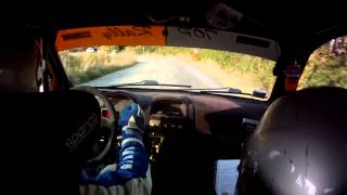 Camera car 4°Rally Race 2015 Brega  Biglieri Vincitori Assoluti Renault Clio Super 1600 [upl. by Valer211]