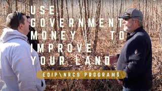 IMPROVE YOUR PROPERTY WITH GOVERNMENT FUNDING  EQIP NRCS PROGRAMS  Food plots patch clear cut [upl. by Toddy434]