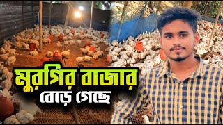 ব্রয়লার মুরগির বাজার বেড়ে গেছে  পাঙ্গাস মাছ  Fisheries [upl. by Bara]