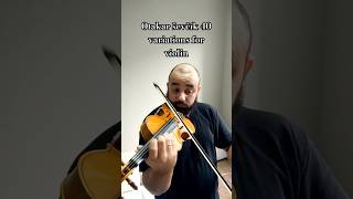 Otakar ševčík 40 variations for violinmusic violinmusic classicalmusic violino concerto violin [upl. by Anerhs]