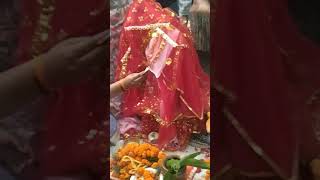 Tulsi Vivahshortvideo [upl. by Wasson741]