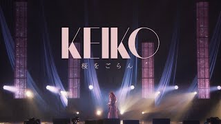 KEIKO  【Official】桜をごらん Lyric Video [upl. by Veriee]