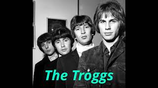 The Troggs  Night of the long grass DEStereo [upl. by Nnairol]