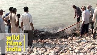 Hindu funeral rites at Chandi ghat of Haridwar [upl. by Main750]