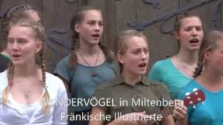 Wandervögel in Miltenberg [upl. by Saerdna]