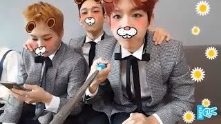 EXO  CBX EXOCBX LIVE highlight [upl. by Soirtemed]