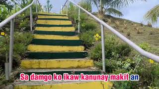 insaktong panahon karaoke PALAGI by TJ Monterde Bisaya version [upl. by Verena888]