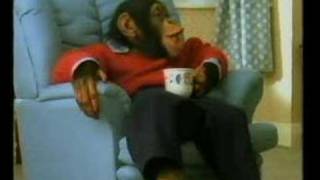 PG Tips tea chimps Xmas advert 1992 [upl. by Endora]