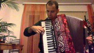 Waves of the Danube  Accordion [upl. by Lomaj286]