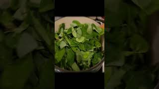 Chipilín leaves with Red lentils Soupside IndoMexican recipe edibleleafyplants [upl. by Hahnke]