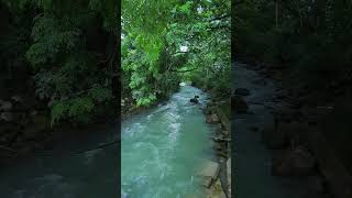 Beatiful Banica River Valencia Negros Oriental river nature [upl. by Ylliw]