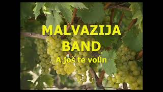 Malvazija band  A još te volin [upl. by Relyt331]