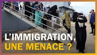 Limmigration menacetelle la démographie française [upl. by Annaor]