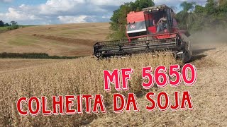 Safra da SojaColheita da SojaMF 5650 [upl. by Nyleimaj823]