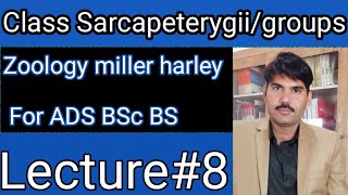 Lec8Sub class Sarcopterygii Groups Zoology Miller Harley ADS BS BSc Urdu Hindi [upl. by Osbourn]