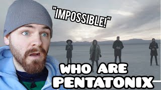 First Time Hearing Pentatonix quotHallelujahquot Reaction [upl. by Anastassia]