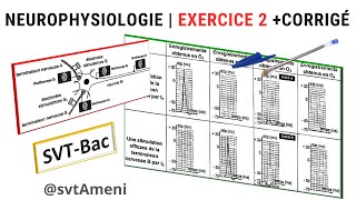 SVTBac Neurophysiologie Exercice 2  Corrigé [upl. by Trub]