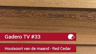 33 Red cedar Gevelbekleding  Houtsoort van de maand September [upl. by Yrred]