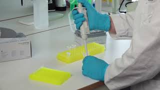 Episode 12  quotPipetting the Samples for PCR 2quot [upl. by Ennagem160]