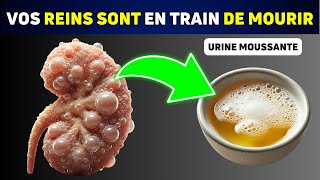 Top 10 Signes Silencieux que vos Reins sont en Train de Mourir [upl. by Nuahsad]