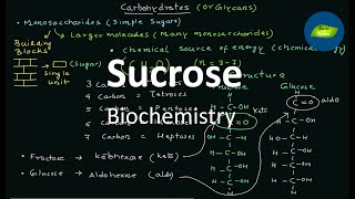 Sucrose  Glycosidic bond  Biochemistry  Basic Science Series [upl. by Ahsyak613]