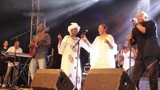 Kassav et lAfrique  un lien unique et des concerts mythiques [upl. by Nadab193]