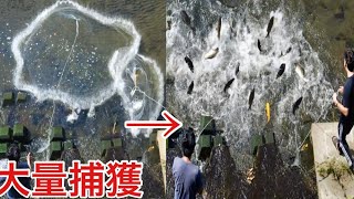 ホモサピさんと投網で中国4大家魚最大の怪魚を都心の川で狙う [upl. by Horter]