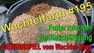 Futter mischen zur Wachtelbeschäftigung amp GEWINNCHANCE beim Wachtelshop  Wachtelfarm 195 [upl. by Sitnik794]