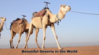 The Most Beautiful Deserts in the World [upl. by Nnaytsirk878]