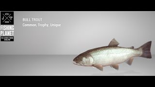 Fishing Planet  Kaniq Creek  Trophy  Bull Trout  Spin [upl. by Kask109]