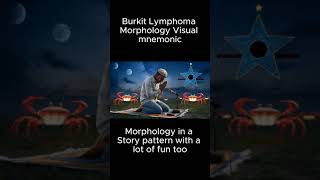 Burkit Lymphoma Morphology Visual Mnemonic  MBBS  NEET PG  FCPS  Cancer  Doctor [upl. by Worthington]