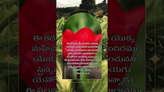 Haggai 29 bible telugu telugubible meditation motivation flowers biblestudy [upl. by Odlanra674]