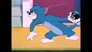 Tom And Jerry Cartoon in Urdu YouTube [upl. by Llenehc12]